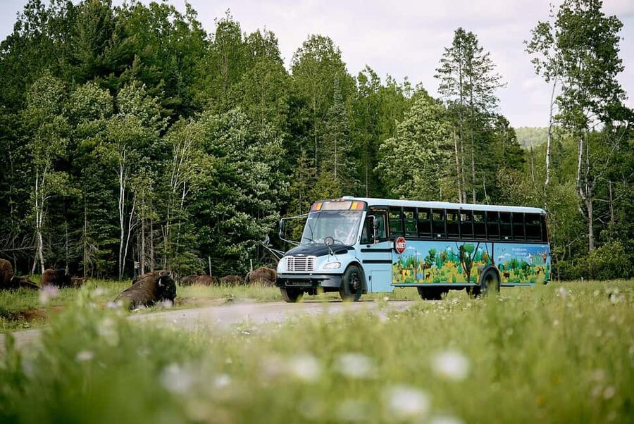 Montebello, QC: Morning VIP Tour at Parc Oméga - Feeding stops bring you closer to the animals