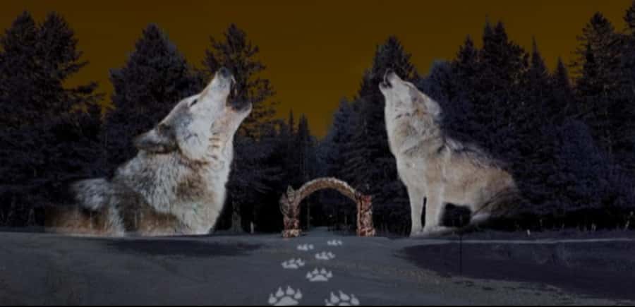 Montebello, QC: Omega Park ONIRO Immersive Experience at Night - Following Oniro through 17 forest scenes