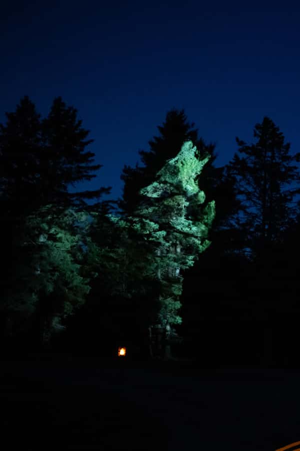 Montebello, QC: Omega Park ONIRO Immersive Experience at Night - The strongest parts of the experience