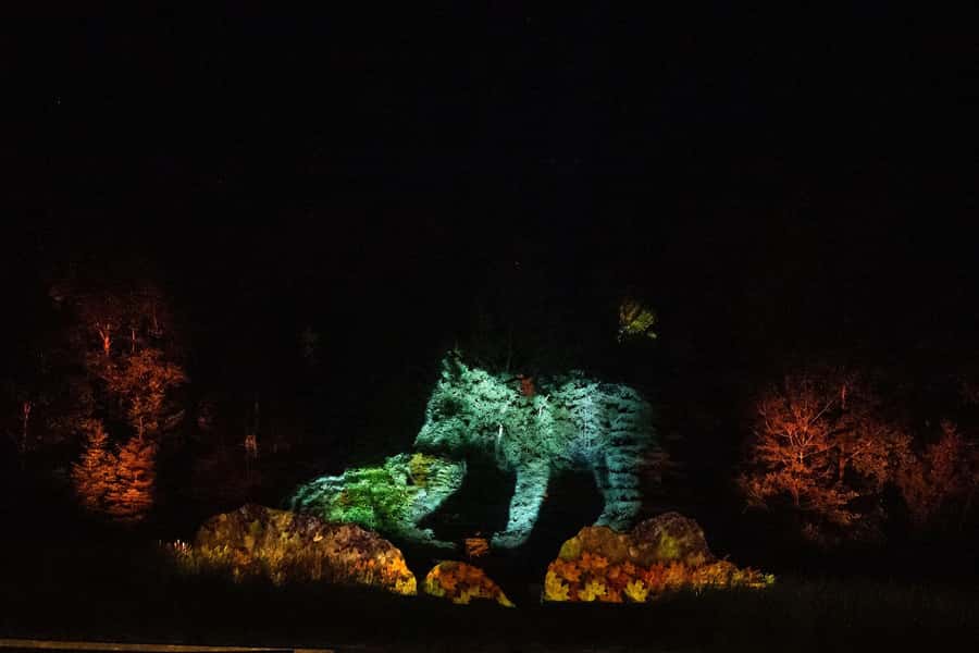 Montebello, QC: Omega Park ONIRO Immersive Experience at Night - My practical booking advice