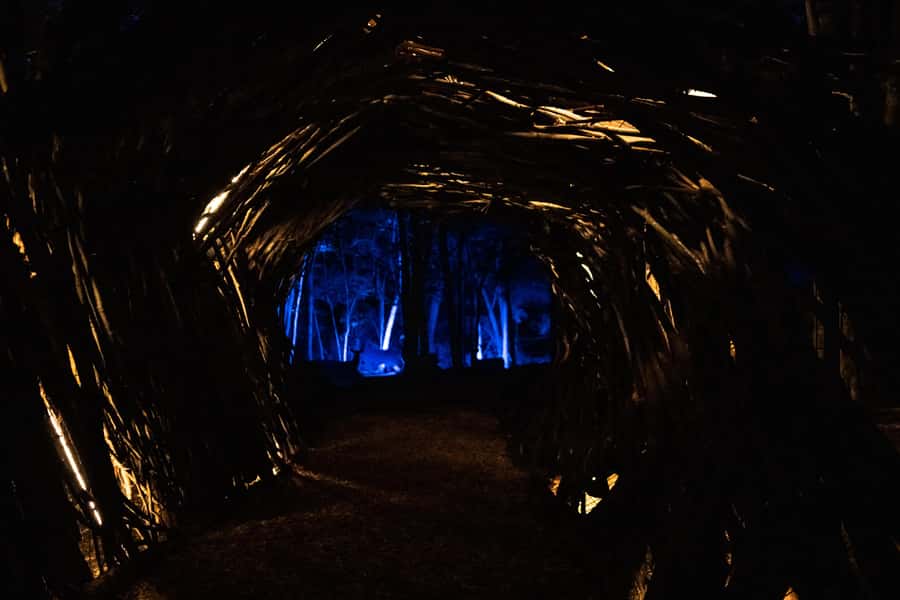 Montebello, QC: Omega Park ONIRO Immersive Experience at Night - Should you book the Oniro night trail?