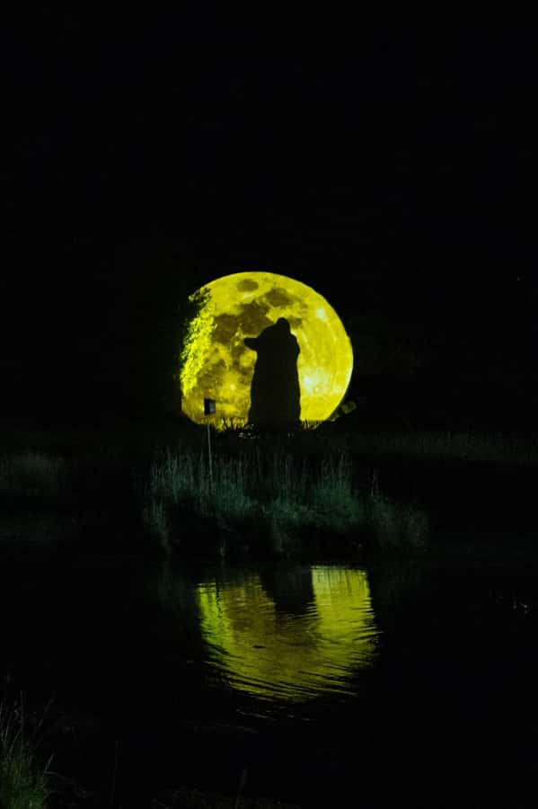 Montebello, QC: Omega Park ONIRO Immersive Experience at Night - Why the family appeal works