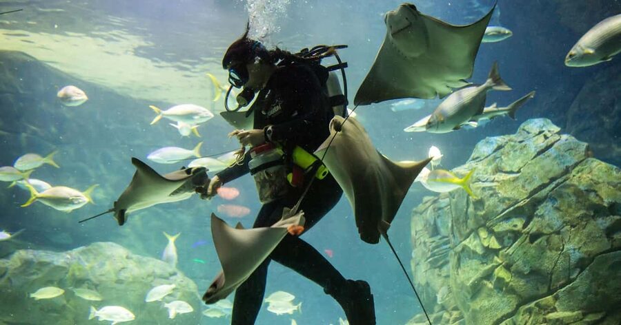 Montreal: 3-Day Toronto, Niagara Falls, Thousand Islands - Who will enjoy this fast-paced tour
