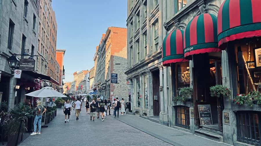 Montreal 3-Hour Private Car Tour with Expert Local Guide - Neighborhoods shaped by many cultures