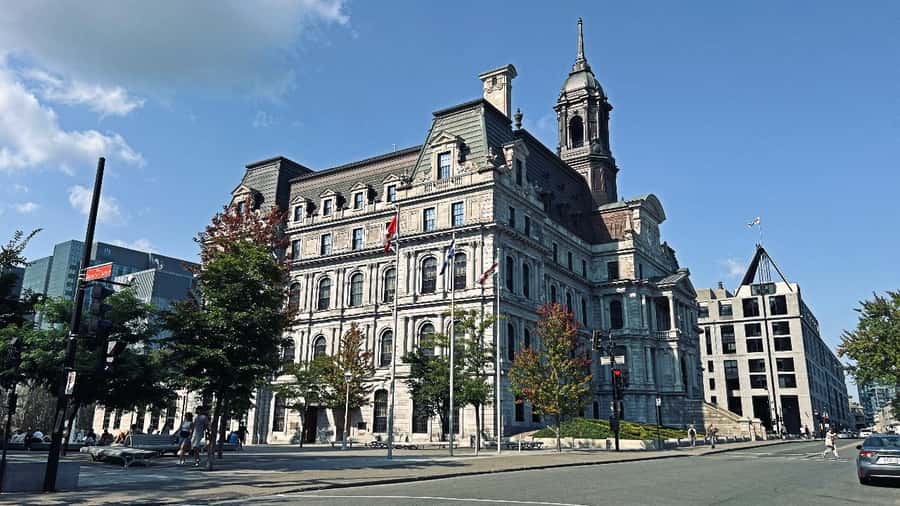 Montreal 3-Hour Private Car Tour with Expert Local Guide - What past praise tells you about the guide