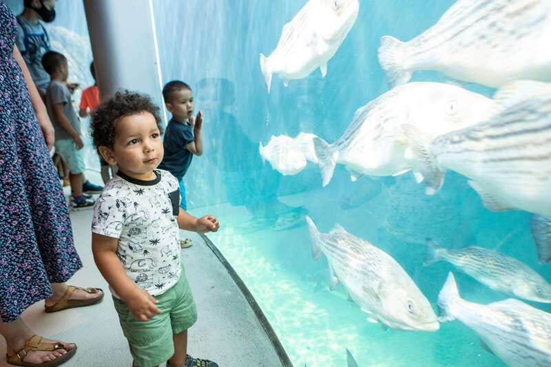Montreal: 5 Attractions Pass - Who should buy the Passeport MTL