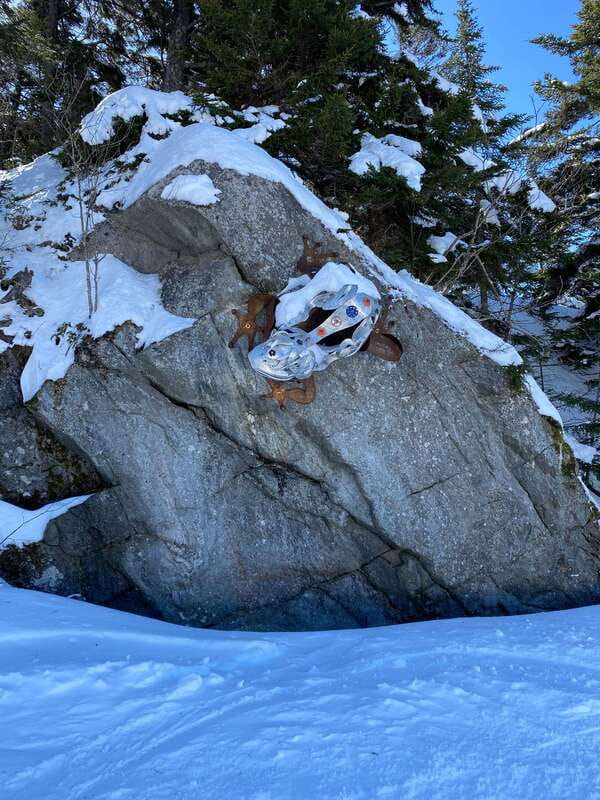 Montreal: Canadian Forest Guided Tour by Snowmobile - Wildlife, forest quiet, and the frozen lake