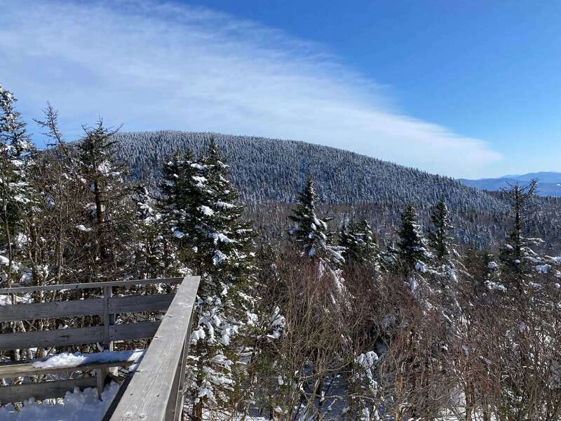 Montreal: Canadian Forest Guided Tour by Snowmobile - How much value do you get for $402?