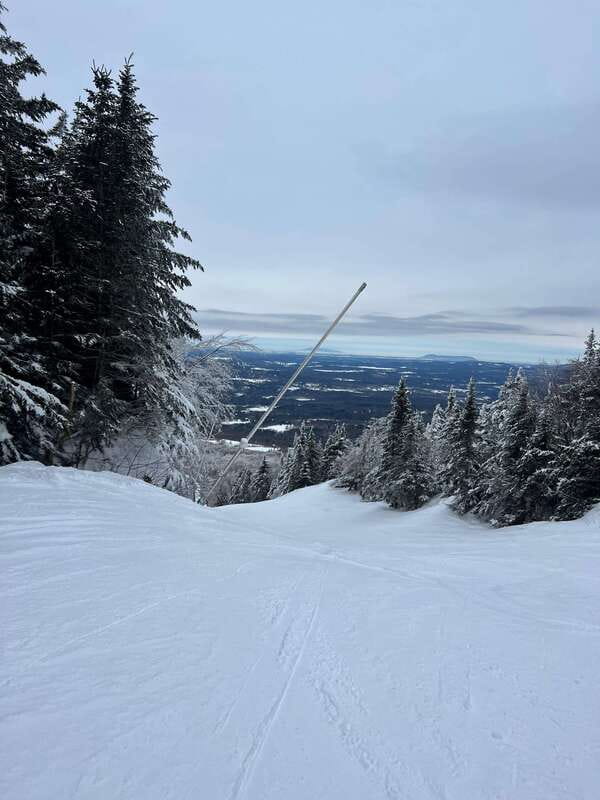 Montreal: Canadian Forest Guided Tour by Snowmobile - Timing, weather, and practical planning