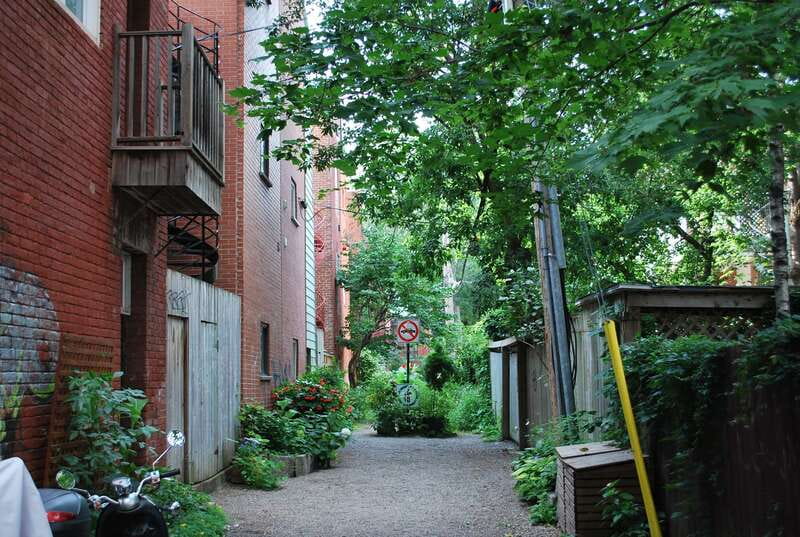 Montreal: Full-Day Small Group City Tour - Old Montreal for lunch, shopping, and Notre-Dame