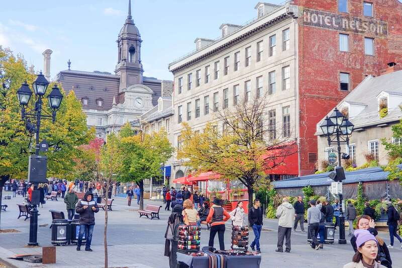 Montreal: Guided Bus Tour - Mount Royal Park and St. Joseph’s Oratory