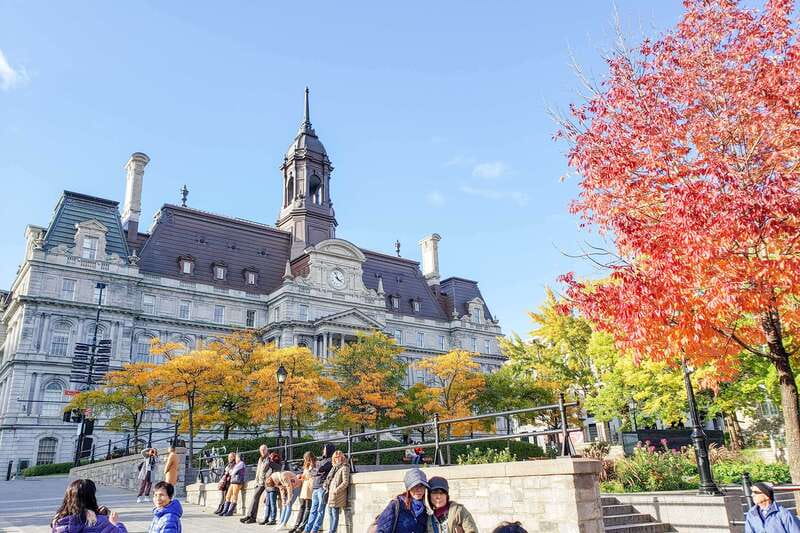 Montreal: Guided Bus Tour - How to get the best value from $26