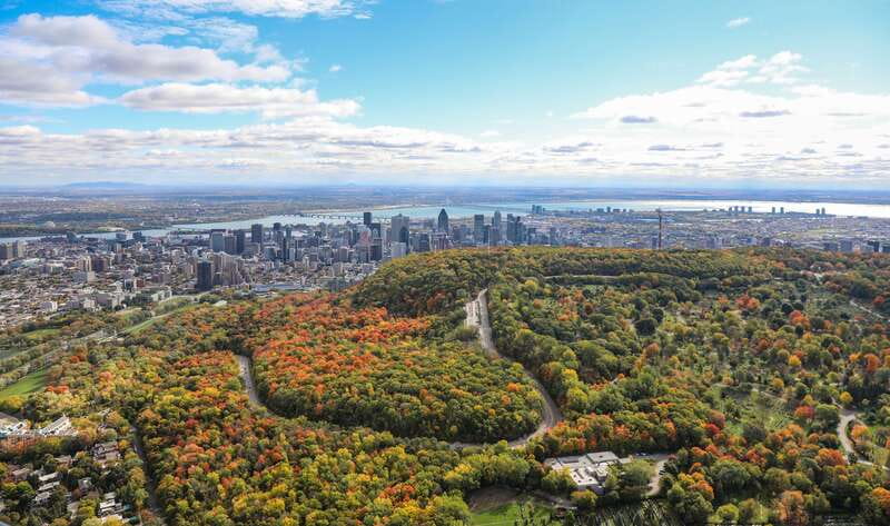 Montreal: Guided Helicopter Tour - Photos, weather, and practical limits