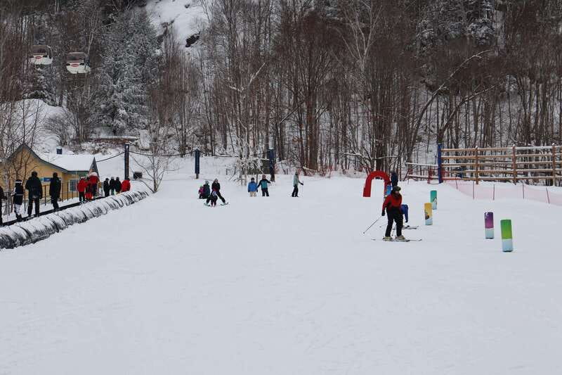 Montreal: Guided Skiing in Quebec Forests - Leaving Montreal for a day on snow