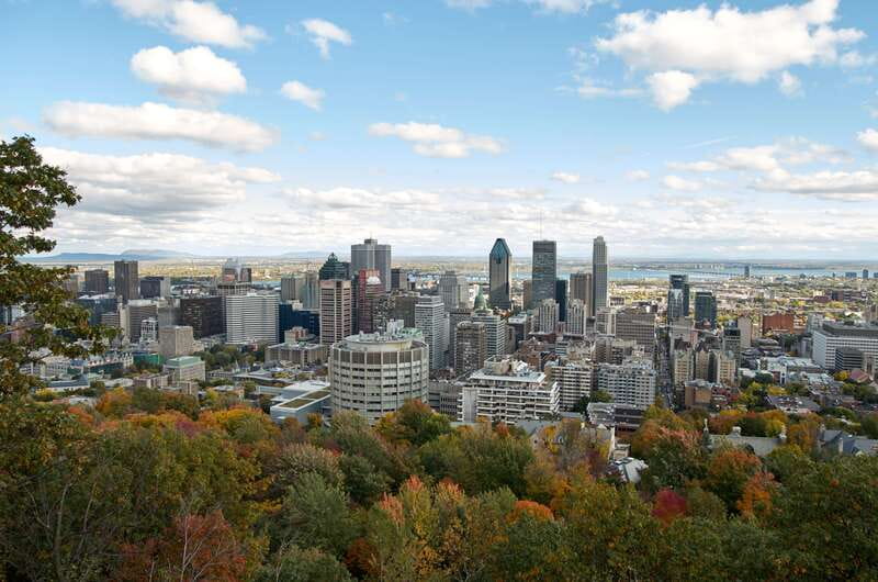 Montreal: Half-Day City Tour - Westmount’s houses and Montreal’s French side
