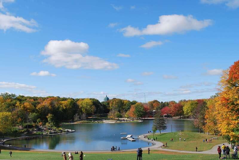 Montreal: Half-Day City Tour - Is $98 a fair price?