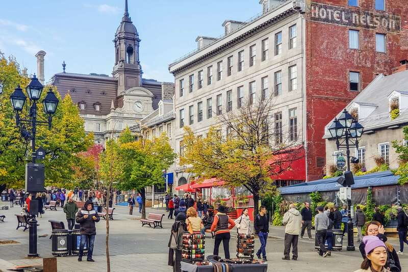 Montreal: Hop-On Hop-Off Double-Decker Bus Tour - Mount Royal: Camillien Houde Lookout