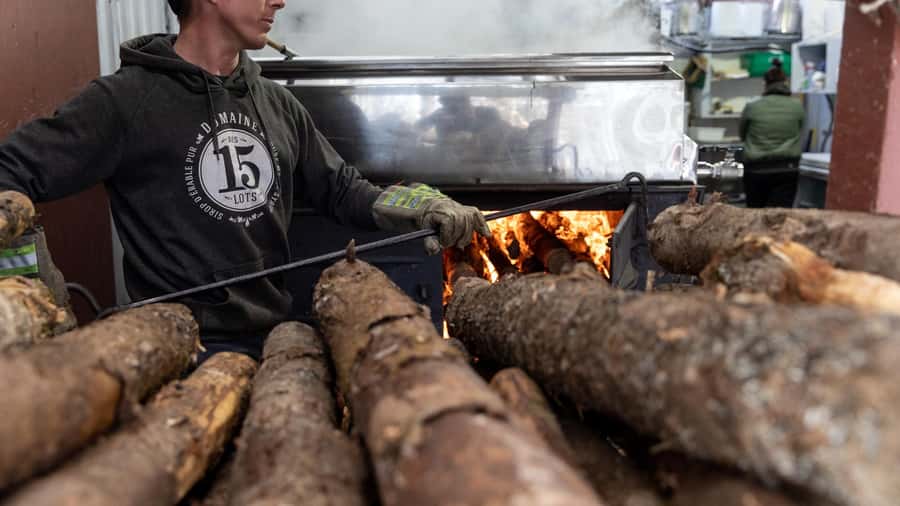 Montréal: Maple Syrup Tasting Conference! - Why the $22 price works