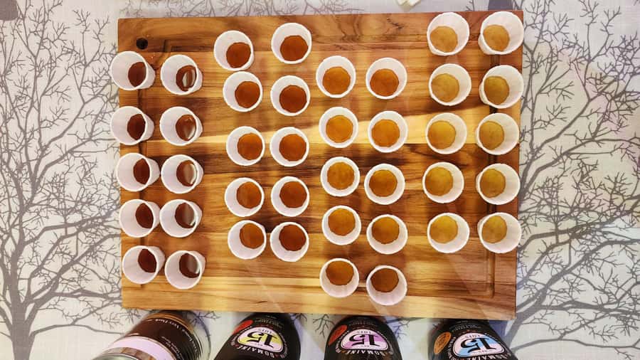Montréal: Maple Syrup Tasting Conference! - French is the working language