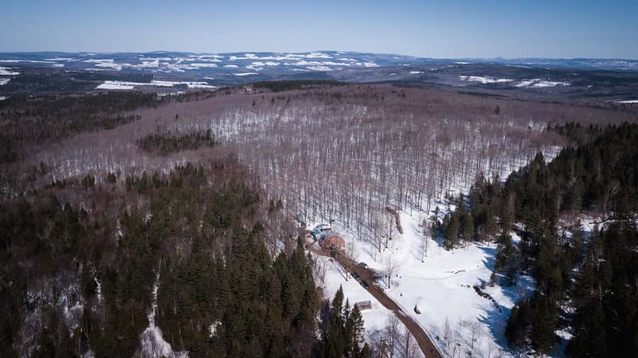 Montréal: Maple Syrup Tasting Conference! - Who will enjoy this maple tasting most