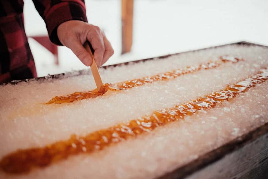 Montreal: Maple Syrup Tour with Sugar Shack & Local Cuisine - Key points to know before you book