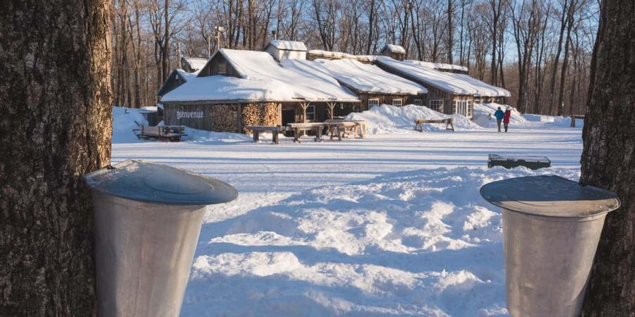 Montreal: Maple Syrup Tour with Sugar Shack & Local Cuisine - Leaving Montreal at 10:00 in the morning