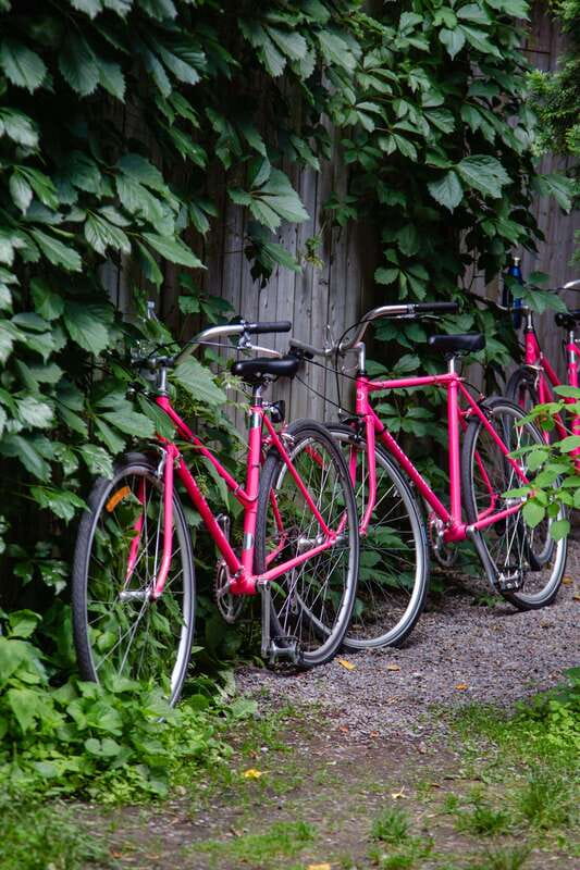 Montreal: Non Touristy Pink Bike Tour - What the few-hour format gives you