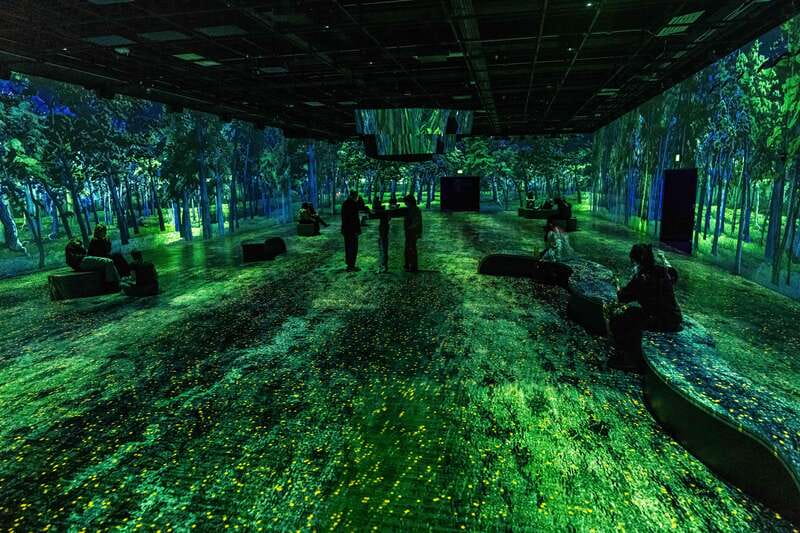 Montreal: OASIS Immersion Entry Ticket - What $26 gets you