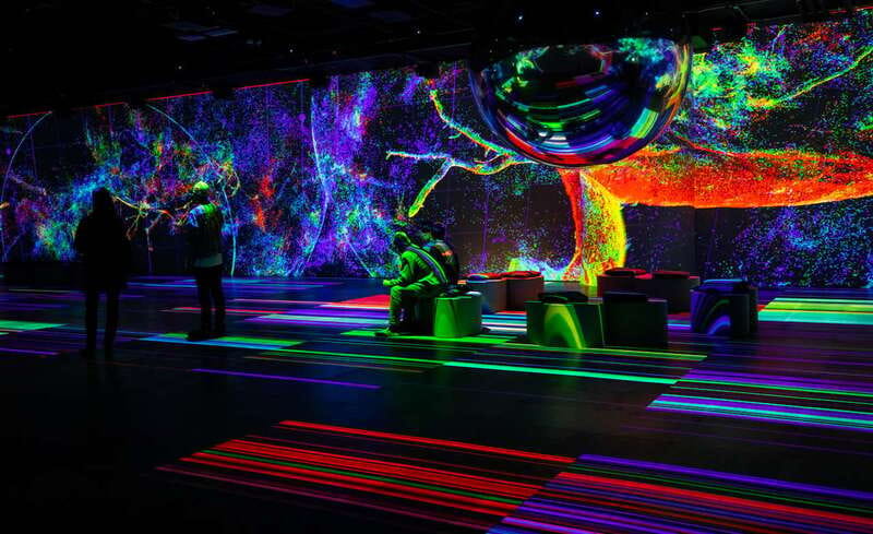 Montreal: OASIS Immersion Entry Ticket - How the three-gallery format works