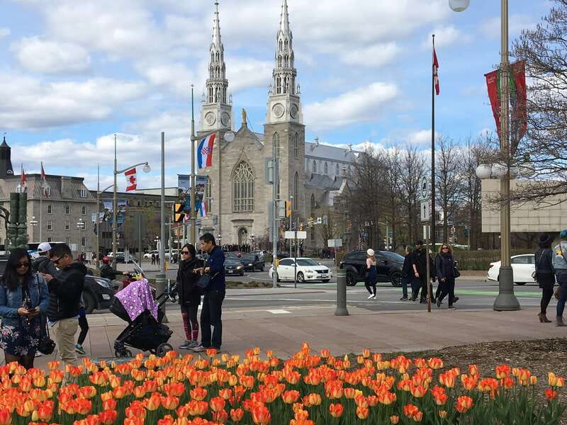 Montreal: Private Day Tour to Ottawa - The drive from Montreal to Ottawa