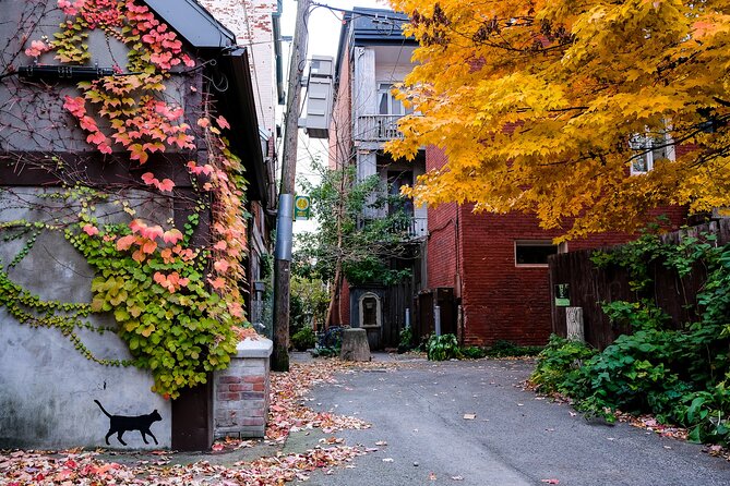 Montreal's Plateau Mont-Royal and Mile End Tour by MTL Detours - Bagels, Cafe Olimpico, and the finish near Waverly