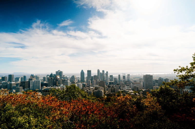 Montreal: Small Group Tour with River Cruise and Notre Dame - Old Montreal and Notre Dame Basilica