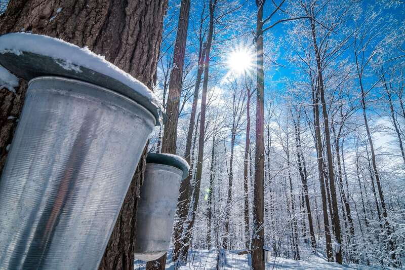 Montreal: Sugar Shack Maple Syrup Day Trip with Lunch - Leaving Montreal for Saint-Eustache