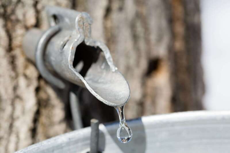 Montreal: Sugar Shack Maple Syrup Day Trip with Lunch - Seeing how Quebec turns sap into syrup