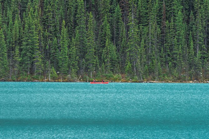 Moraine Lake and Lake Louise day Tour from Canmore and Banff - The guide makes the difference