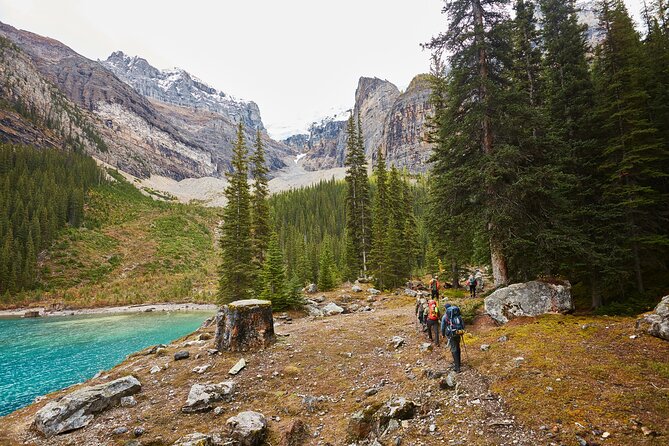 Moraine Lake and Lake Louise Sightseeing Half Day Tour - Small group size, comfort, and family details