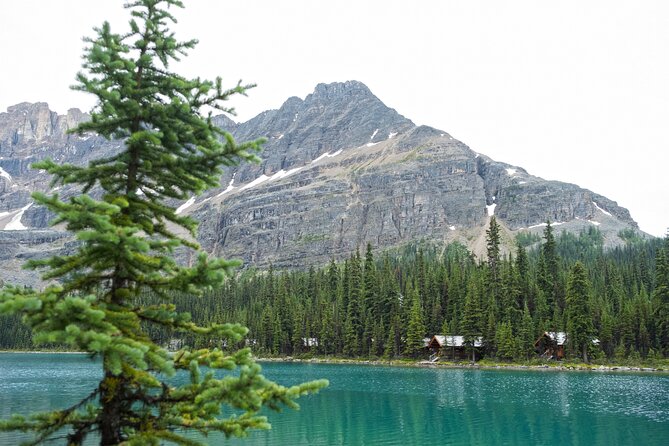Moraine Lake and Lake Louise Sightseeing Half Day Tour - Is $114.08 a fair price?
