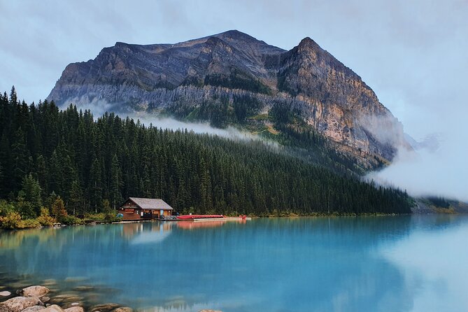Moraine Lake & Lake Louise Sunset & Wildlife Adventure - Wildlife along the Bow Valley Parkway