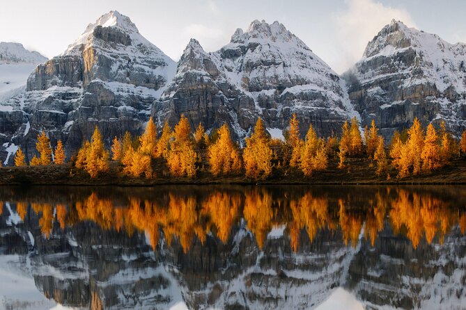 Moraine Lake & Lake Louise Sunset & Wildlife Adventure - Lake Louise as the light fades