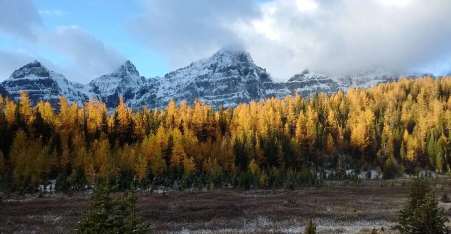 Moraine Lake & Larch Valley Hike - Arriving at Moraine Lake