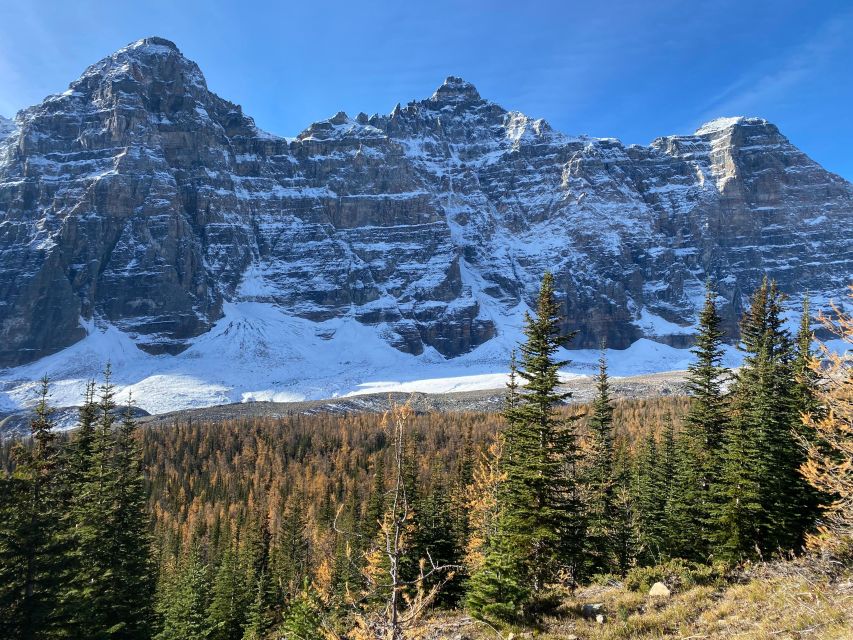 Moraine Lake & Larch Valley Hike - Wildlife, safety, and the value of a local guide