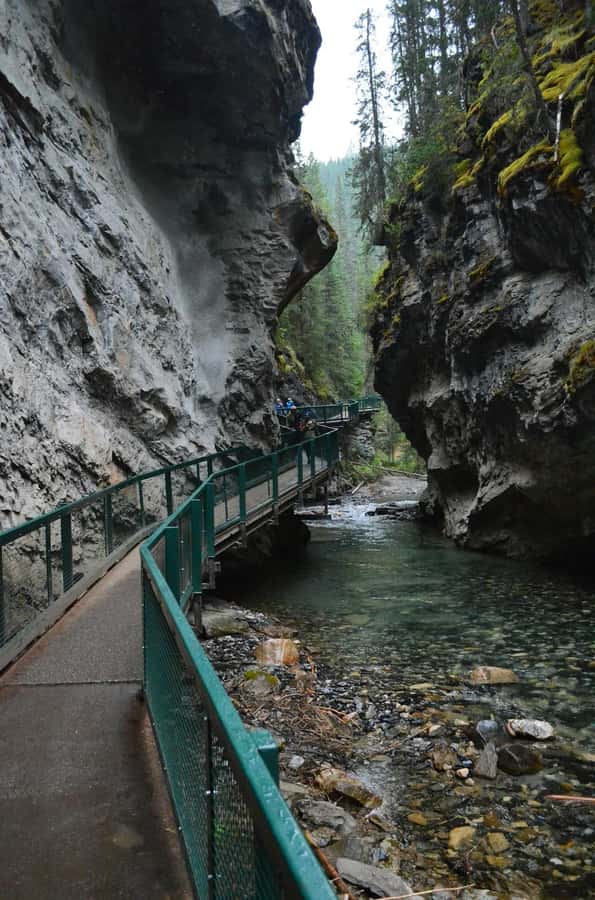 Moraine Lake Louise Emerald Johnston Canyon Banff Yoho Tour - Johnston Canyon: the day’s best walk