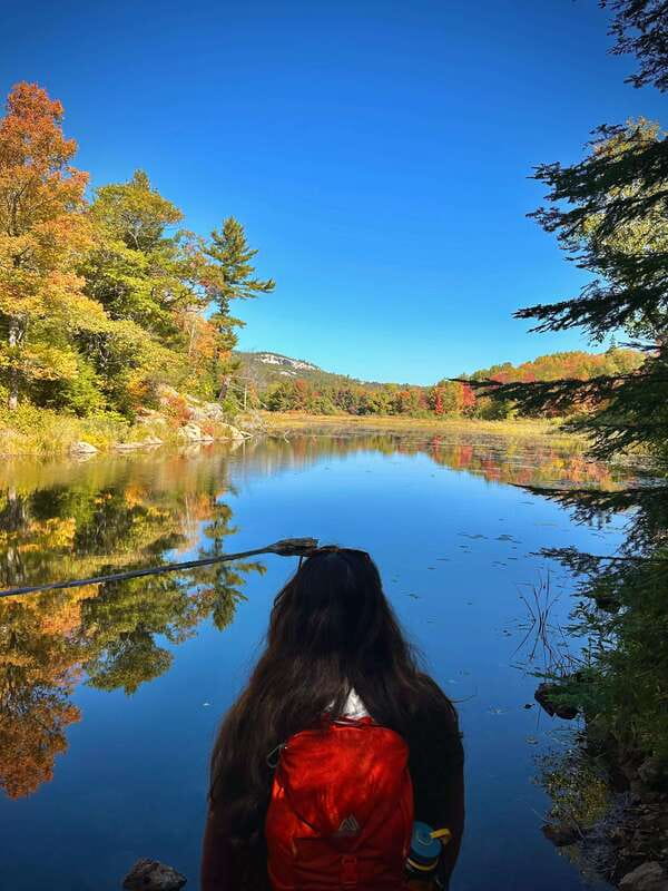 Muskoka: High Falls, Hardy Lake, & Huckleberry Rock Tour - High Falls and Potts Falls near Bracebridge