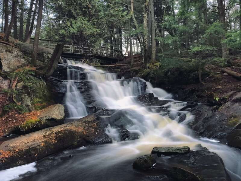Muskoka: High Falls, Hardy Lake, & Huckleberry Rock Tour - Dinner before the drive back to Toronto