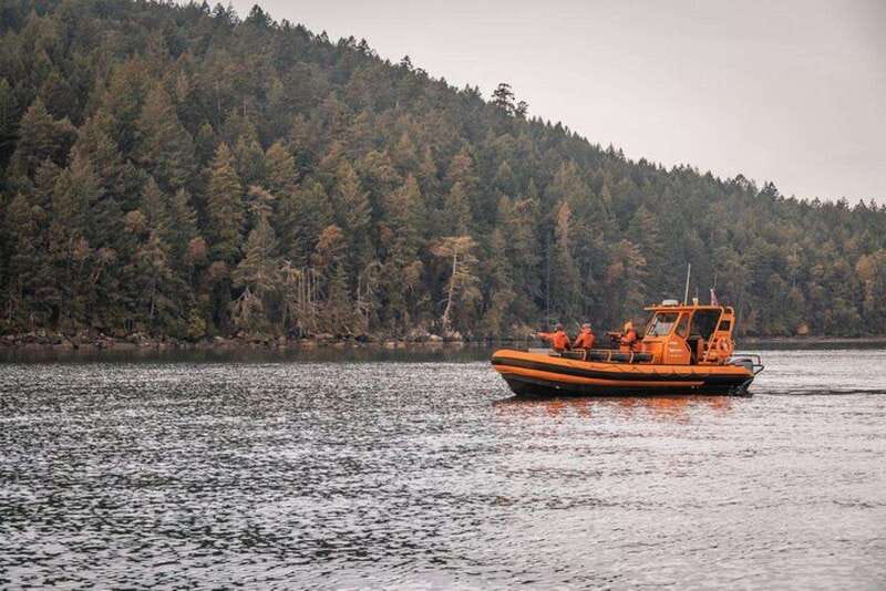 Nanaimo: Whale Watching Open Boat Tour - Learning the Salish Sea before the whales appear