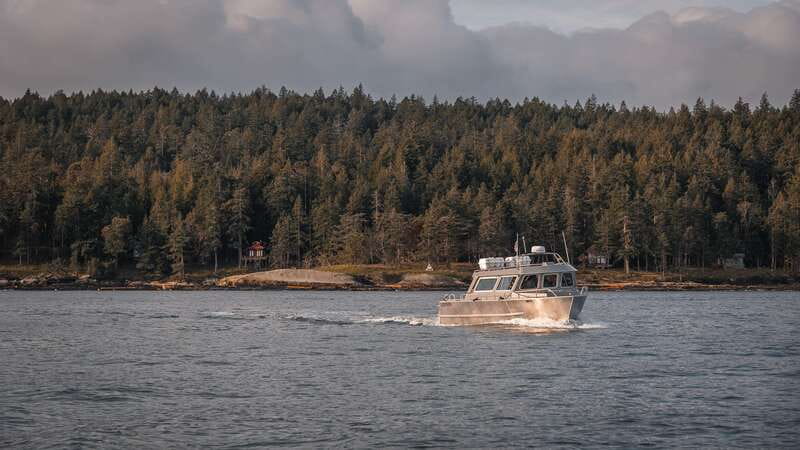 Nanaimo: Whale Watching Semi-Covered Boat Tour - Starting at Nanaimo’s Front Street waterfront