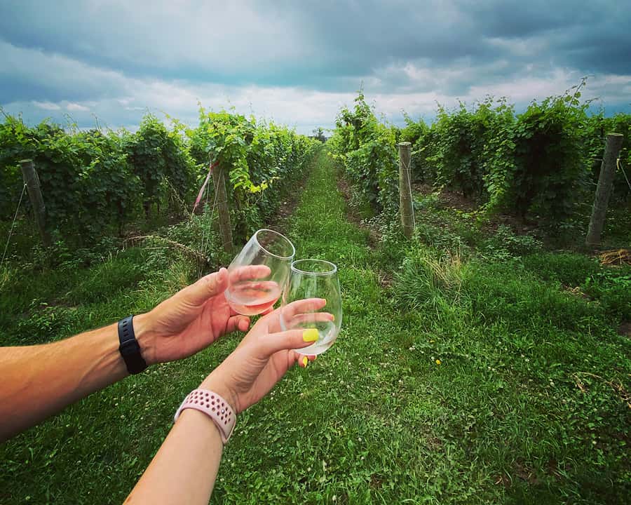 Niagara: A Twilight Wine Adventure With 3-Course Dinner - Four wineries, one evening, little route planning