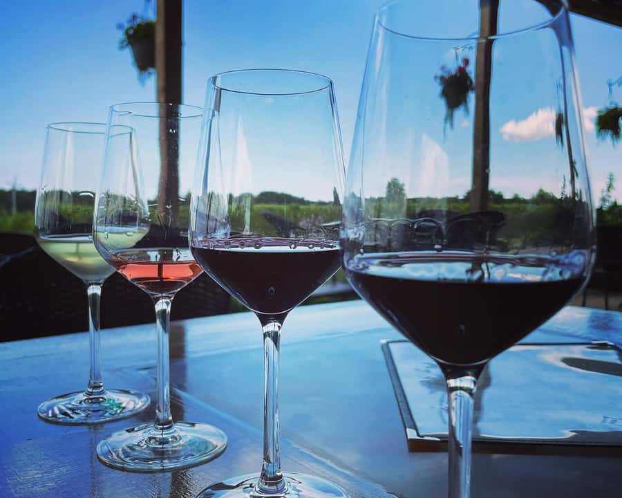 Niagara: A Twilight Wine Adventure With 3-Course Dinner - Guides who make the history useful