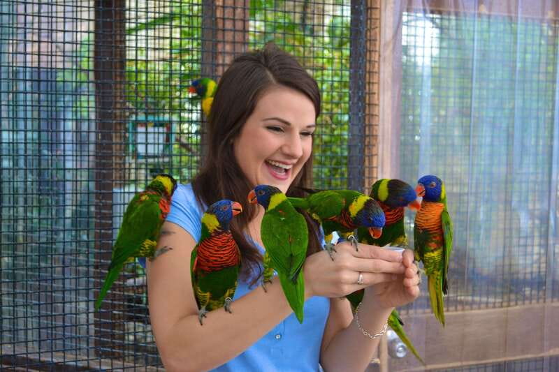 Niagara Falls, Canada: Bird Kingdom Entry Ticket - Why Bird Kingdom makes a good Niagara Falls break