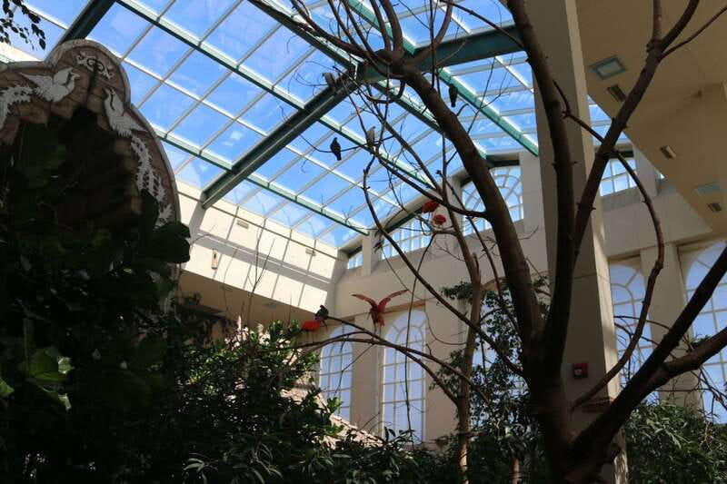 Niagara Falls, Canada: Bird Kingdom Entry Ticket - The rainforest aviary: the real reason to visit